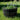 SG Traders Large Round Plastic Barrel Tub Planter - - 