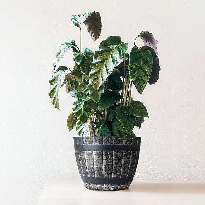 SG Traders Large Round Plastic Barrel Tub Planter - - 