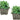 SG Traders Large Square Plastic Planter for Garden (Pack of 2) - - 