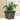 SG Traders Large Square Plastic Planter for Garden (Pack of 2) - - 