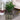 SG Traders Large Square Plastic Planter for Garden (Pack of 2) - - 