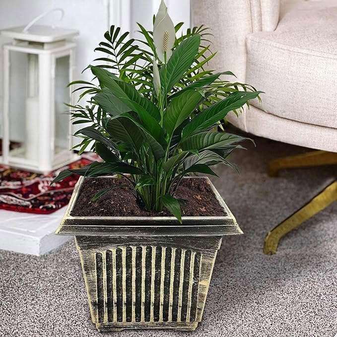 SG Traders Large Square Plastic Planter for Garden (Pack of 2) - - 