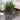 SG Traders Large Square Plastic Planter for Garden (Pack of 2) - - 