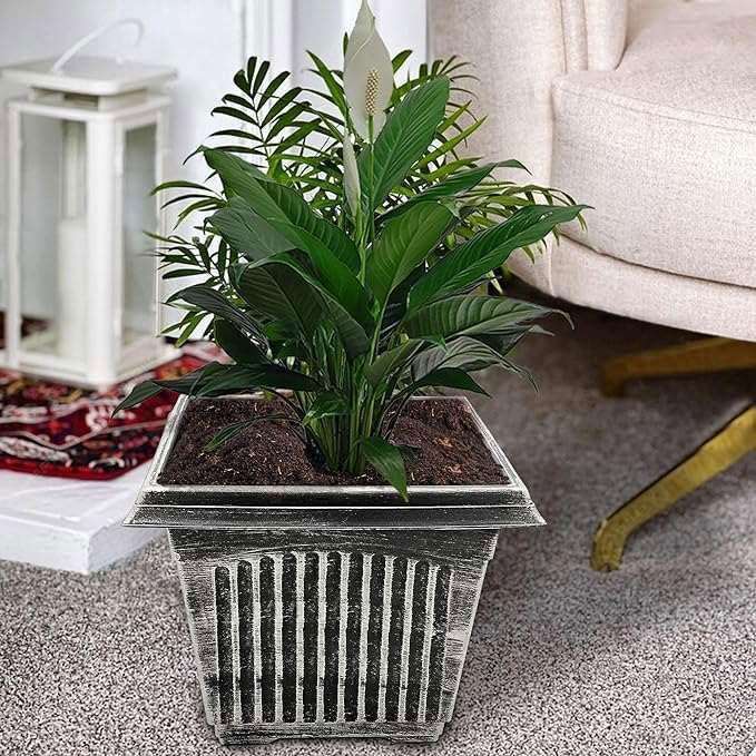SG Traders Large Square Plastic Planter for Garden (Pack of 2) - - 