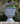 SG Traders™ Large Urn Pots - - 
