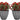 SG Traders™ Plant Pot Set - SGTraders