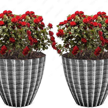 SG Traders™ Plant Pot Set - - 