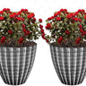 SG Traders™ Plant Pot Set - - 