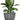 SG Traders™ Plant Pot Set - - 