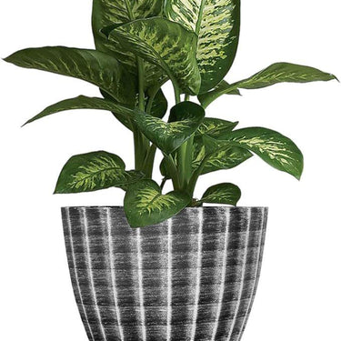 SG Traders™ Plant Pot Set - - 