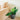 SG Traders™ Plant Pot Set - - 
