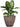 SG Traders™ Plant Pot Set - - 