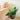 SG Traders™ Plant Pot Set - - 