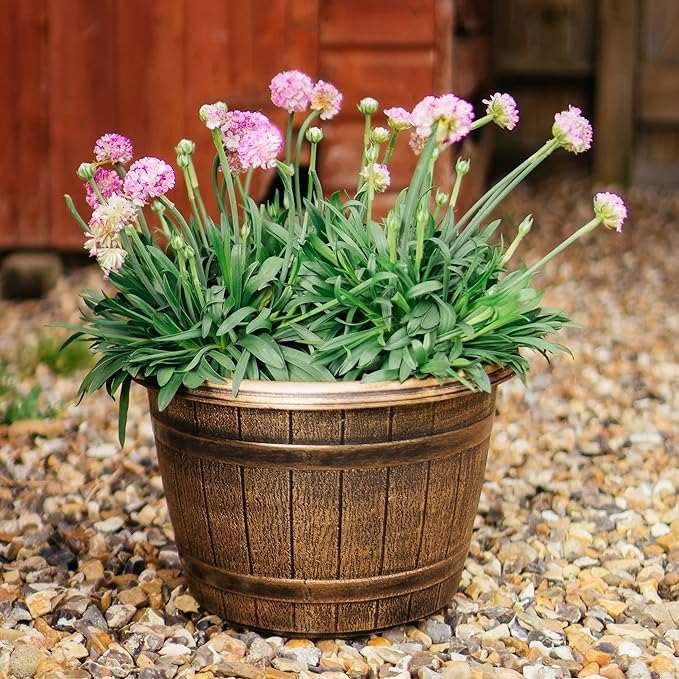 SG Traders™ Round Plastic Barrel Tub Planters - - 