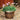 SG Traders™ Round Plastic Barrel Tub Planters - - 
