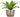 SG Traders™ Round Plastic Barrel Tub Planters - - 