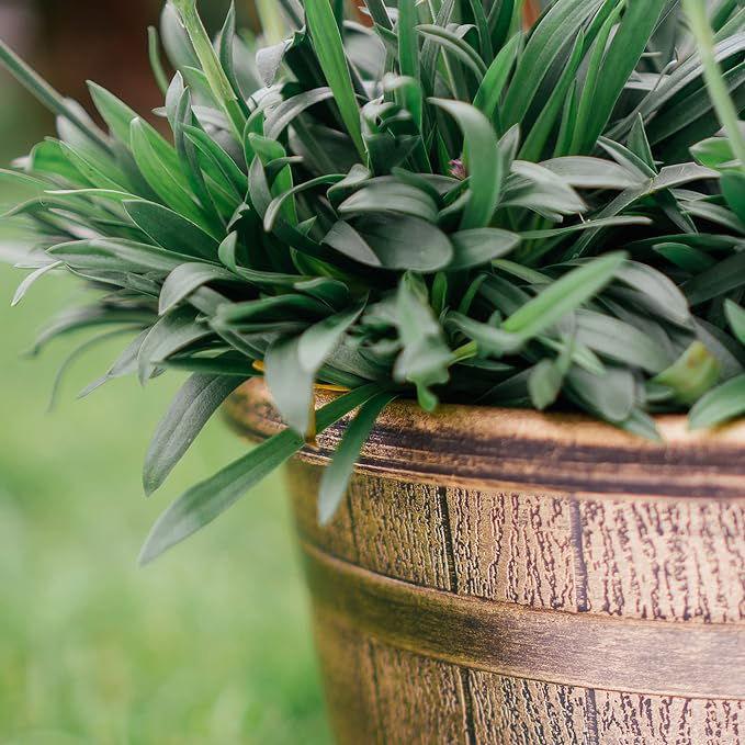 SG Traders™ Round Plastic Barrel Tub Planters - - 