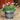 SG Traders™ Round Plastic Barrel Tub Planters - - 