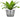 SG Traders™ Round Plastic Barrel Tub Planters - - 
