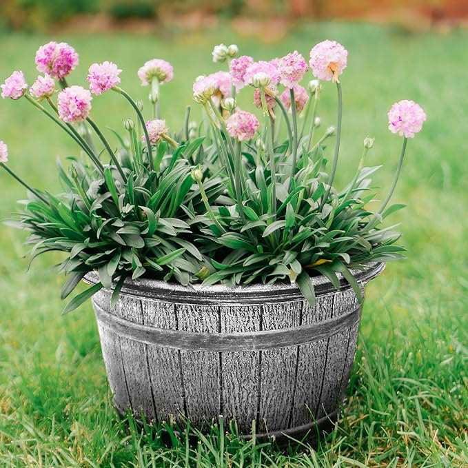 SG Traders™ Round Plastic Barrel Tub Planters - - 