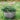 SG Traders™ Round Plastic Barrel Tub Planters - - 