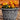 SG Traders™ Serenity Plant Pots (Pack of 2) - - 