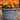 SG Traders™ Serenity Plant Pots (Pack of 2) - - 