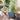 SG Traders™ Serenity Plant Pots (Pack of 2) - - 