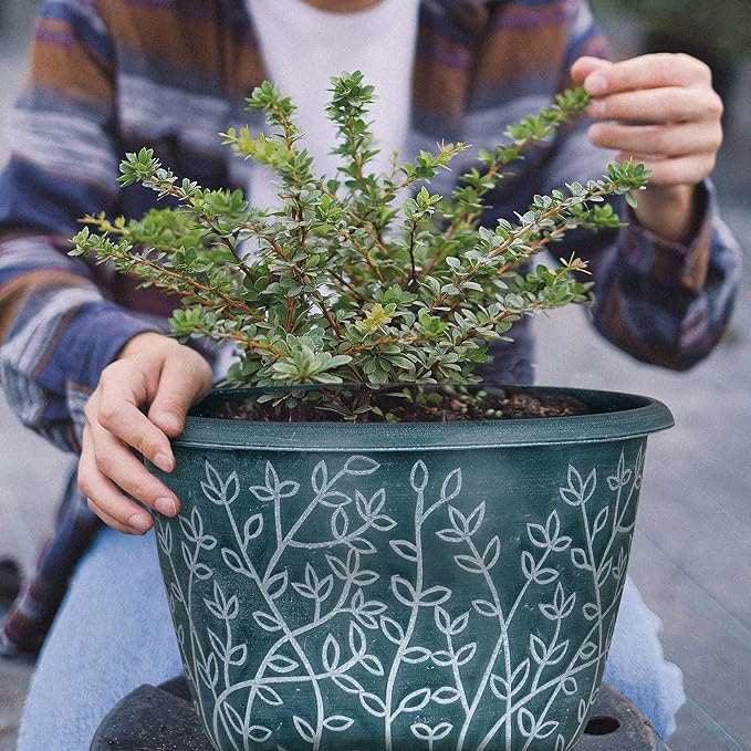 SG Traders™ Serenity Plant Pots (Pack of 2) - - 