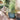 SG Traders™ Serenity Plant Pots (Pack of 2) - - 