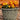 SG Traders™ Serenity Plant Pots (Pack of 2) - - 