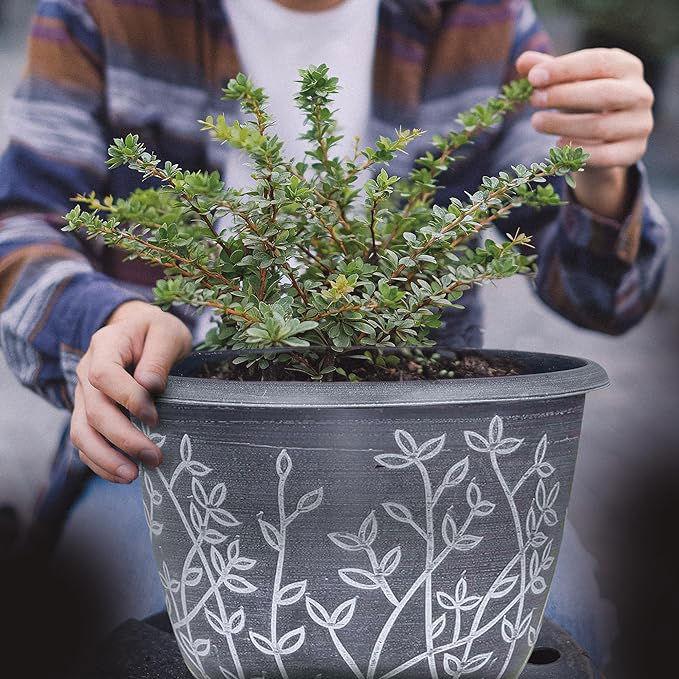 SG Traders™ Serenity Plant Pots (Pack of 2) - - 