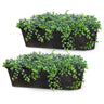 SG Traders™ Set of 2 Rattan Flower Troughs for Balcony and Garden - - 