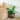 SG Traders ™ Silver 41cm Large Round Plastic Spiral Garden Plant Pot - - 