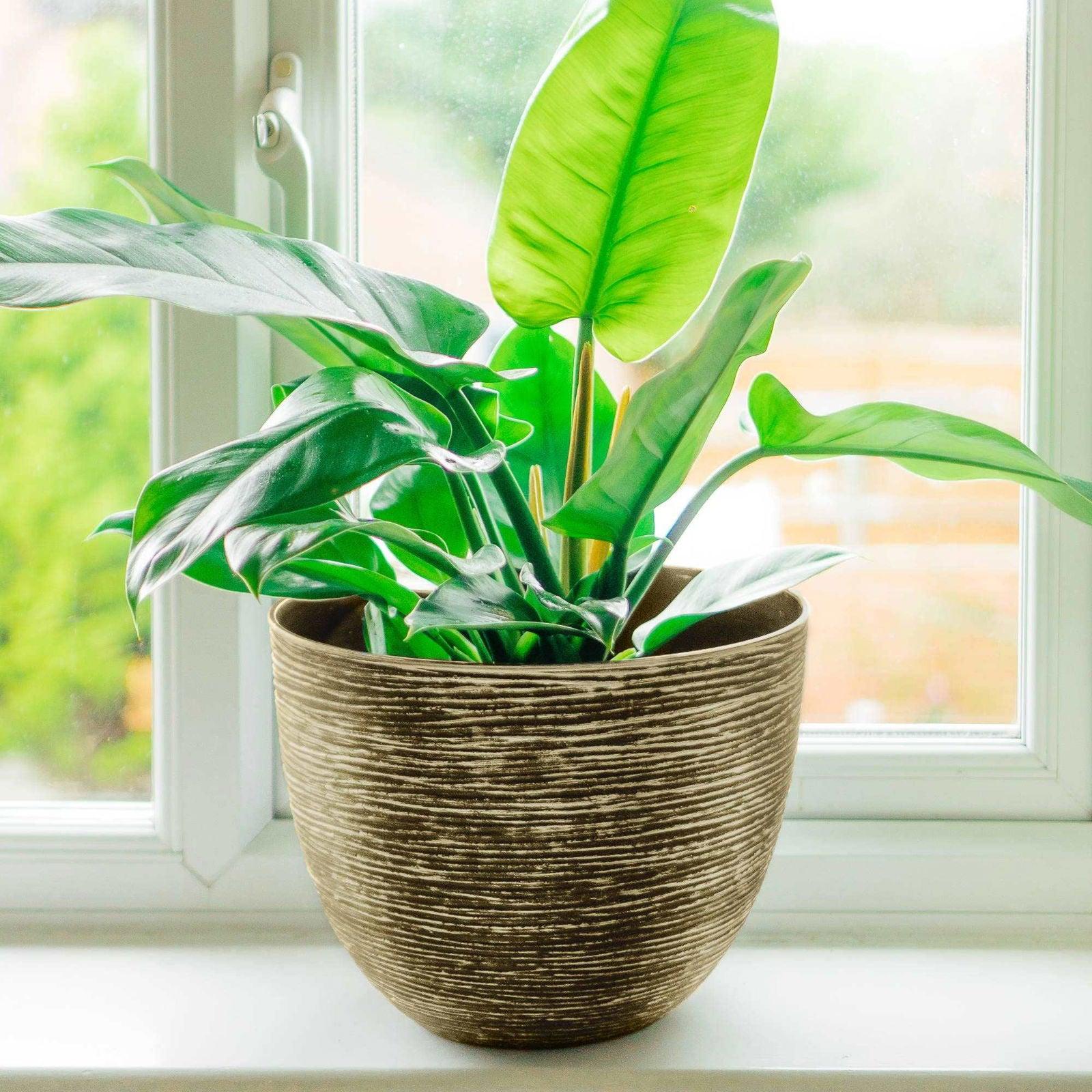 SG Traders ™ Silver 41cm Large Round Plastic Spiral Garden Plant Pot - - 