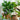 SG Traders ™ Silver 41cm Large Round Plastic Spiral Garden Plant Pot - - 