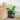 SG Traders ™ Silver 41cm Large Round Plastic Spiral Garden Plant Pot - - 