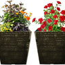 SG Traders Square Gloss Plant Pot (pack of 2) - - 