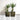 SG Traders Square Gloss Plant Pot (pack of 2) - - 