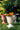SG Traders™ TAMPA URN PLANT POT - - 
