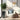 SG Traders™ Tall Savannah (Parent) - - 