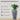 SG Traders™ Tall Savannah (Parent) - - 