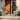 SG Traders™ Tall Savannah (Parent) - - 