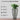 SG Traders™ Tall Savannah Plant Pot