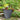SG Traders™ Savannah plant pots