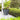 SG Traders™ Savannah plant pots