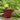 SG Traders™ Savannah plant pots