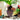 SG TRADERS™ Starry Sky Planters (Pack of 2)