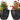 SG Traders™ Chengdu Plant Pots