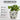 SG Traders™ Chengdu Plant Pots